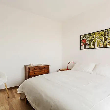 Canguroproperties - Nino Bixio